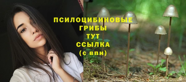 гидропоника Бронницы
