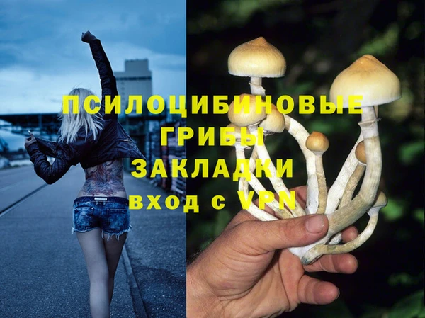 синтетический гашиш Бородино