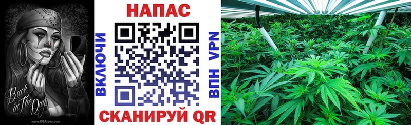 МАРИХУАНА Amnesia  Купить закладки  Райчихинск 
